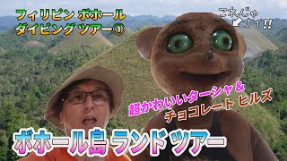 【ダイビングのある旅】フィリピン・ボホール島。超かわいいメガネザルとチョコレート・ヒルズ。初日のランドツアー。