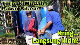 Pengiriman 15 drum pakan silase ke Pekalongan Jawa Tengah