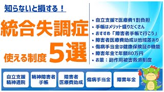 【統合失調症】使える公的制度まとめ(自立支援医療・障害者手帳・障害年金)