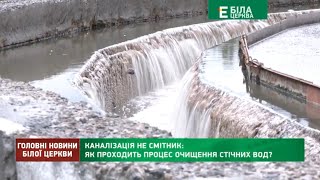 Каналізація не смітник: як проходить процес очищення стічних вод?