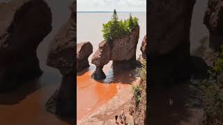 Hopewell Rock High Tides | New Brunswick | Bay of Fundy