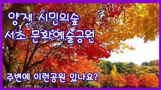 양재 시민의숲.서초문화예술공원(주변에 이런 공원 있나요?) 2021. 11. 05.