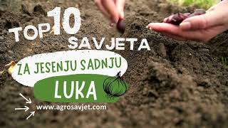 JESENJA SADNJA LUKA - 10 VAŽNIH SAVJETA