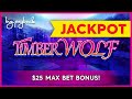 JACKPOT HANDPAY! Cash Express Luxury Line Timber Wolf Slot - HIGH LIMIT ACTION!