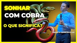 Sonhar com cobra o que significa?