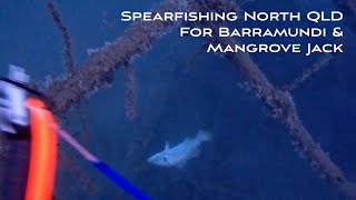 Spearfishing Far North QLD Coastline! Barramundi, Mangrove Jack & Crays!