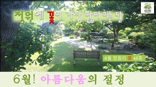 정원에 꽃이 가장 많이 피는 달, 6월! 아름다움의 절정