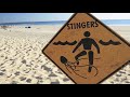 Most Dangerous Beaches In The World
