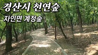 gye-joung forest that is good to walk in Gyeongsan city Jain-myeon