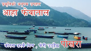 Fewa Taal ! Tal Barahi Temple ! आहा फेवाताल, दर्शन तालबाराही माता ! most visited place in pokhara