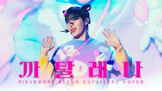 [4K] 241110 피원하모니 기호 까탈레나(CATALLENA) 직캠 | P1Harmony KEEHO Fancam | OLYMP1ece FANMEETING