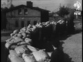 sugar mills start production in poland 1949