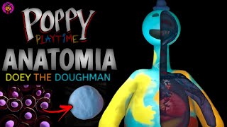 A ANATOMIA Do DOEY THE DOUGHMAN! Poppy Playtime Chapter 4