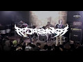 RAJASINGA LIVE AT ROAD TO HAMMERSONIC 2017