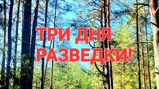 КОП-РАЗВЕДКА НА ДРЕВНИХ МЕСТАХ.