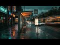 Midnight Transit Echo (City in Motion Pulse Dub)