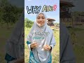 Kenapa Pilih AUC (Alujab Circle)