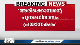 'അരിക്കൊമ്പനെ മാറ്റുന്നത് പ്രയാസകരം'- വനം വകുപ്പ് സുപ്രിംകോടതിയിലേക്ക്