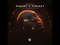 bhaskar nobody s perfect feat. dana williams extended mix