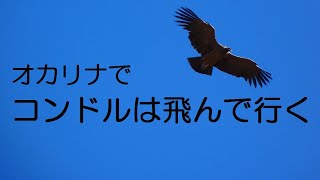 オカリナで「コンドルは飛んで行く」弦楽伴奏バージョン