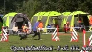 Aimee na Mistrovství ČR v agility 2011