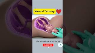 NORMAL CHILD DELIVERY | BABY BIRTH #shorts #youtubeshorts #viral
