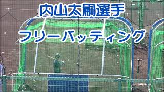 内山太嗣選手（2018年育成1位）のフリーバッティング　～東京ヤクルトスワローズ・2021秋季キャンプ～