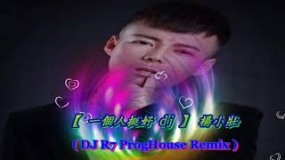 【 一個人挺好 dj 】楊小壯 ( DJ R7 ProgHouse Remix )