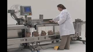 Automating Your Food Packaging Operations - FAS SPrint SidePouch Revolution Bagger