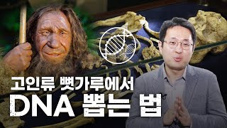 😲지금도 네안데르탈인 1억 4000명 생존 중 [인싸랑]