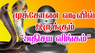 முக்கோண வடிவில் ஆவுடையில் அமர்ந்து இருக்கும் அதிசய சிவன்.... நந்தி வாயில் ரத்தம் வருவது ஏன்...?