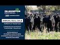 Gilmandyke Pastoral 2024 Bull Presale