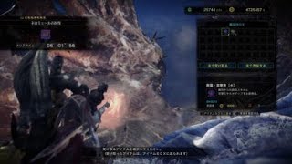 貫通弾ヘヴィボウガンで楽々ネロミェール　　モンスターハンターワールド：アイスボーン_mhwi