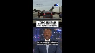 "Tesla road rage driver" sentenced to 7 years in prison