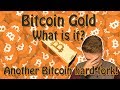 Bitcoin Gold (BTG) - What is it? Another Bitcoin hard fork coming up!