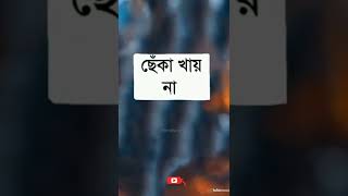 আসলে তারা হেরে যায😔#shorts #viral #trending #respect #ytshorts #status #youtubeshorts #muslim#husba