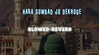 Hara Gumbad Jo Dekhoge Zamana Bhool Jaoge | Gulam Mustafa Qadri | Slowed Reverb | TabrejOfficial313