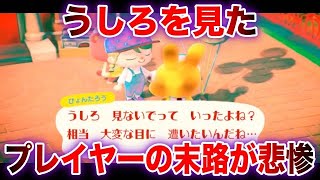 あつ森でぴょんたろうのうしろを見てしまった際の演出が不気味すぎる…どうぶつの森の怖すぎる海賊版対策11選part8【閲覧注意】【Anti Piracy Screen】