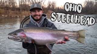 Epic Ohio Steelhead Fishing!