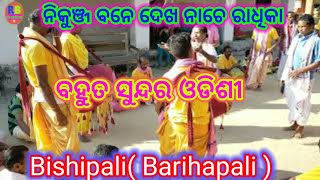 Bishipali (Barihapali) Kirtan Party,Jharsuguda