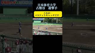 秘技バスケットキャッチ　岸和田　日本体育大　早稲田大 #ソフトボール #野球 #softball #プロ野球 #甲子園 #熱盛 #ワールドカップ #メジャーリーグ  #スポーツ