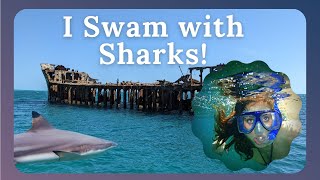 Is Snorkeling in Bimini Bahamas Worth It? Sapona Shipwreck and Shark Snorkel Excursion