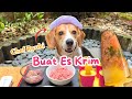 BUAT ES KRIM RASA BEBEK UNTUK ANABUL‼️😋 RYUKI BERDOA SEBELUM MAKAN😍