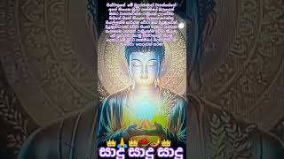 සියලු දෙනාට මේ බුද්ධ ශක්තියේ පිහිට ලැබෙන වාසනාවන්ත නිදුක් නිරෝගීමත් රාත්‍රියක් වේවා කියලා අ 👑️🙏👑️✨️🌹