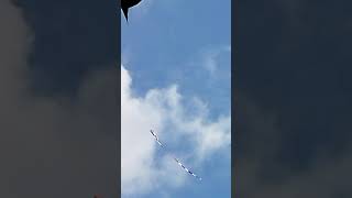 ලස්සන නයෙක් උඩ යැවුවා/Sri lanka big snake kite#Kite tik tok.