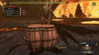 【MH3GHD】神の再臨 2:01 お手軽効率(サポ1鹿弓3)サポ視点