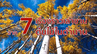 7 เรื่องราวเล่าขาน จาก 7 ต้นไม้ในตำนาน