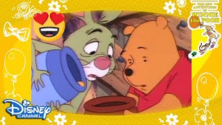 Winnie The Pooh | En İyi Dostlar: Winnie ve Tavşan 😍 | Disney Channel Türkiye