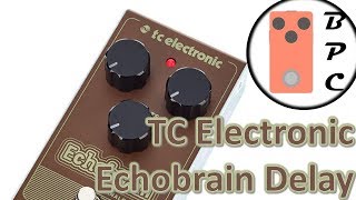 Pedal Review - TC Electronic Echobrain delay (Featuring Mr Matt Quine!)