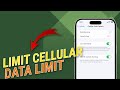 How To Set A Cellular Data Limit On iPhone